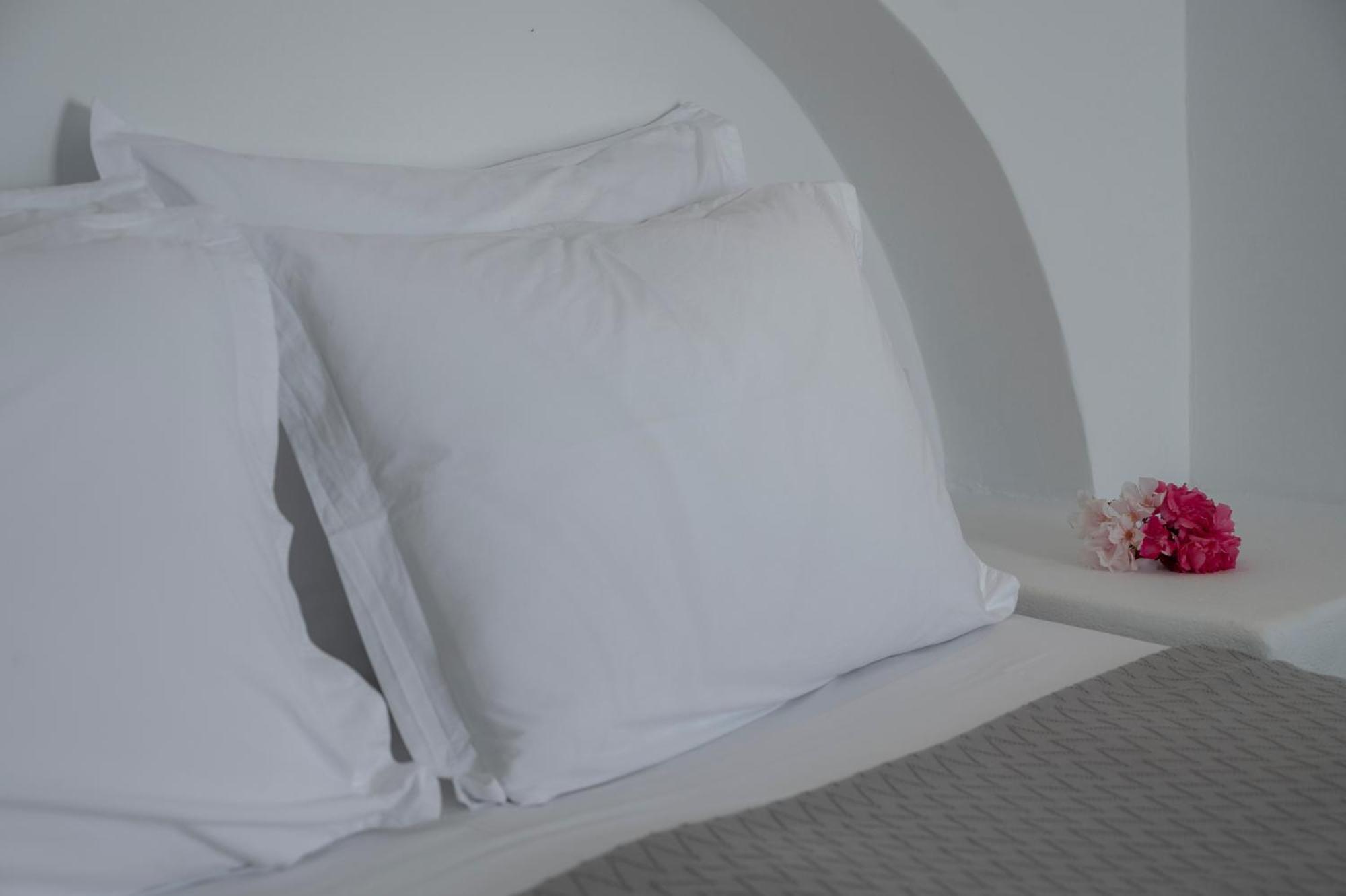 Aegean Dream Apartments Tínos 外观 照片